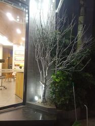 -星格造型·Hair Salon