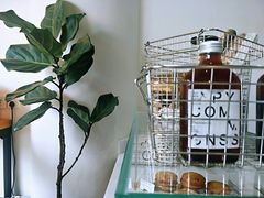 -常识咖啡common sense(春熙路店)