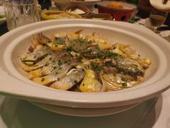 -华膳楼·安徽地标美食·中华餐饮名店(文化公园店)