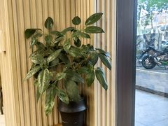 -小马牛肉面·牛骨熬制(南京博物院店)