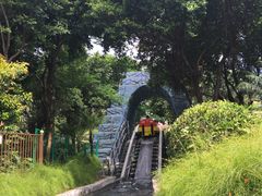 -史努比缤纷世界
