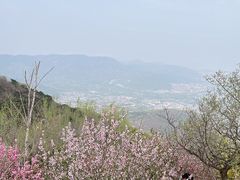 -北京西山国家森林公园