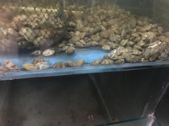 -遇西祠·海鲜烧烤(总店)