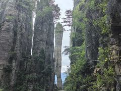 -恩施大峡谷