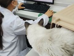 -心仪动物医院·牙专科·肿瘤·心脏科(西客站院)