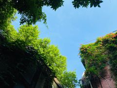 -古董花园(思南路42弄小区店)