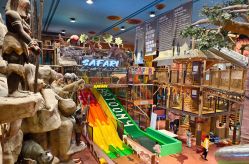 -卡通尼·Safari非洲探索乐园·生日会(金桥国际商业广场店)