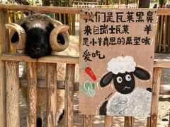 -水上乐园·欢乐世界