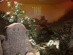 -中国庆元廊桥博物馆