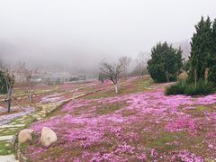 -棒棰岛宾馆景区