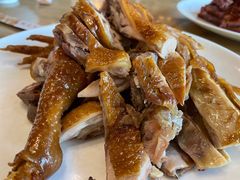 卤鸡-老字号敖鸡肉