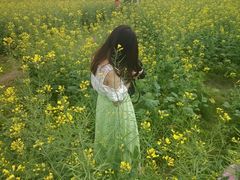 android_upload_pic-红山村