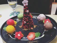 冰纷秘境-哈根达斯(陆家浜路店)
