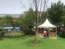 -萌宠亲子动物乐园(槐房万达店)