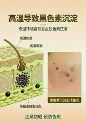 -YESIDO椰岛美容