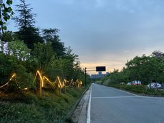 -三圣花乡旅游区