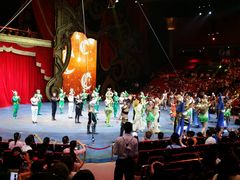 -珠海横琴长隆《卡卡虎奇遇记》