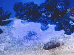 -常州海昌海洋探索馆