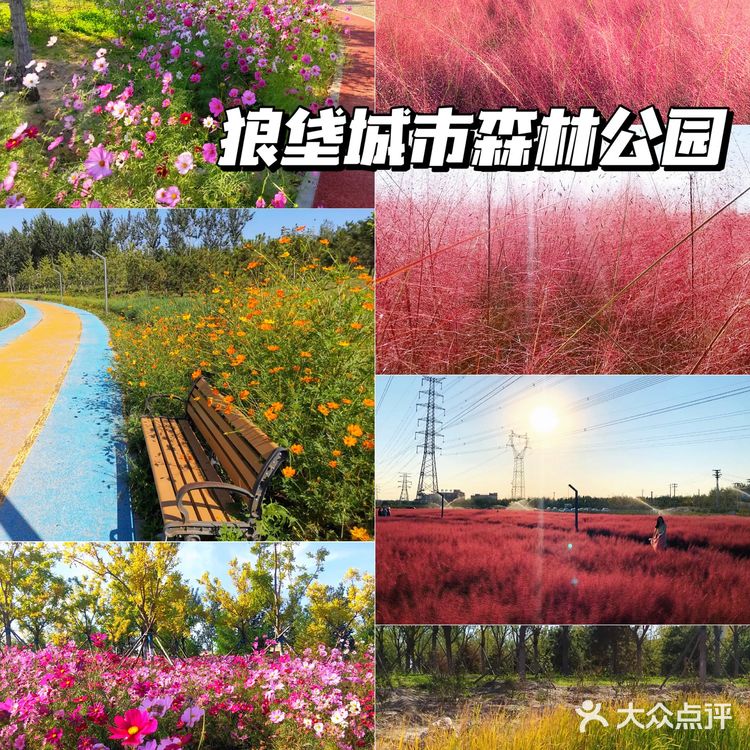 北京花海🌺金秋十月赏花攻略㊙️