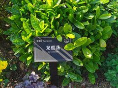 -东莞植物园