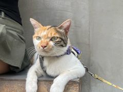 -Again Coffee Roaster(香蜜湖店)