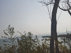 -养马岛旅游度假区