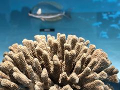 -中国湿地博物馆