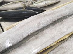 -东星临时农贸市场