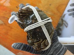 -阳澄湖大闸蟹·琼灵阁牌品牌连锁(吴中总店)