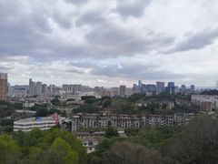 -福道