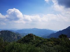-大岭沟猕猴桃谷风景区