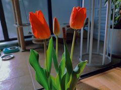 -双季花艺园艺市场(浦东店)