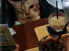 -咖法森林·咖啡  酒吧(天河店)