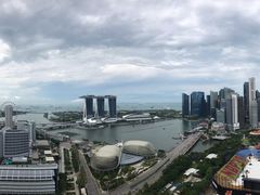 -新加坡瑞士史丹福酒店