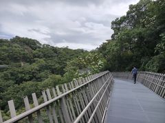 -福道