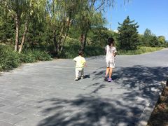 -永定河休闲森林公园