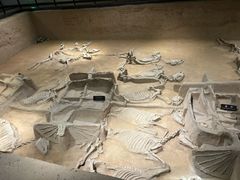 -洛阳周王城天子驾六博物馆