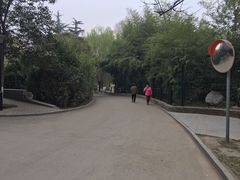 -西安市长乐公园