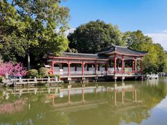 -西湖公园(鼓楼区)