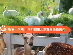 -北京野生动物园
