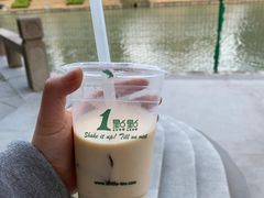 -嘉定紫藤园
