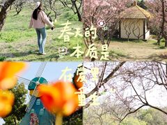 -无锡梅园公园