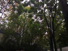 -武昌江滩