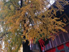 -宝通禅寺