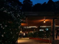 -夜间野生动物园