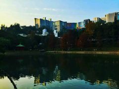 -大埔公路-马料水段香港中文大学(公交站)