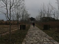 -广富林郊野公园