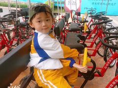 -美的鹭湖探索王国