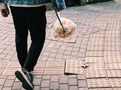-袁大头包子(光华路店)