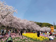 -苏州上方山国家森林公园